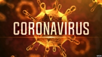Coronavirus 2020 720p XviD AAC-FVR [ANT]