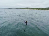 When Sharks Attack 360 S01E06 480p x264-mSD EZTV