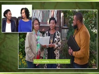 Roots Less Traveled S04E05 480p x264-mSD EZTV
