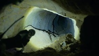 Hunting Atlantis S01E04 Sicilys Secrets XviD-AFG EZTV