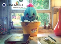 Maxon CINEMA 4D Studio R20.026 Multilingual (macOS)
