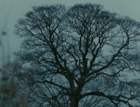Wuthering Heights (2011) [BluRay] [1080p] [YTS] [YIFY]