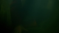 The Clearing S01E08 720p HEVC x265-MeGusta EZTV The Clearing S01E08 720p HEVC x265-MeGusta EZTV