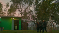 Chimp Crazy S01E04 1080p HEVC x265-MeGusta EZTV Chimp Crazy S01E04 1080p HEVC x265-MeGusta EZTV