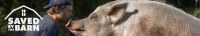 Saved By The Barn S01E01 Spring Fever WEB x264-LiGATE[TGx]