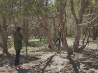 Home Work S01E10 Creative Suite 480p x264-mSD EZTV Home Work S01E10 Creative Suite 480p x264-mSD EZTV