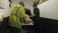 Mountain Vets S03E01 XviD-AFG EZTV