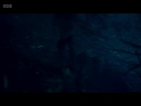 Avoidance S01E06 480p x264-mSD EZTV