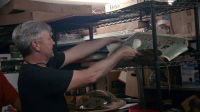 American Pickers S25E09 1080p HEVC x265-MeGusta EZTV