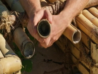 Survivor S45E12 480p x264-mSD EZTV Survivor S45E12 480p x264-mSD EZTV