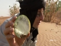 Man vs Wild S02E01 Sahara 480p x264-mSD [eztv]