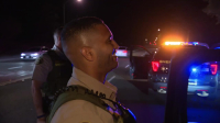 Cops S35E16 720p WEB h264-BAE EZTV Cops S35E16 720p WEB h264-BAE EZTV