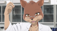 BEASTARS S03E12 1080p WEB H264-KAWAII EZTV BEASTARS S03E12 1080p WEB H264-KAWAII EZTV