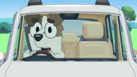 Bluey S03E15 iNTERNAL XviD-AFG EZTV