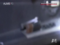 Live PD S04E55 480p x264-mSD [eztv]