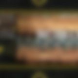 WWE NXT 2020 11 25 USAN WEB h264-HEEL[TGx]