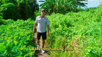 Survivor S46E03 1080p WEB h264-EDITH EZTV
