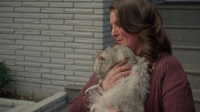 Animal Control S03E03 1080p WEB h264-ETHEL EZTV Animal Control S03E03 1080p WEB h264-ETHEL EZTV
