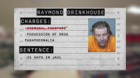 My Strange Arrest S02E18 XviD-AFG EZTV
