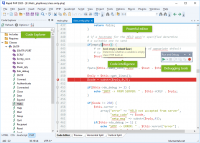 Blumentals Rapid PHP 16.2.0.229 + Keygen