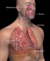 Lungs Sounds Made Easy {purestevil}™exclusive