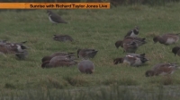 BBC Autumnwatch Extras 2015 11 04 PDTV x264-MVGroup EZTV