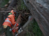 Timber Titans S01E01 480p x264-mSD EZTV Timber Titans S01E01 480p x264-mSD EZTV