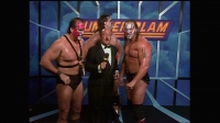 WWE SummerSlam 1990 1080p WEB h264-HONOR EZTV