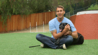 Lucky Dog S01 720p AMZN WEBRip DDP2 0 x264-MZABI