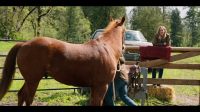 Virgin River S06E07 720p HEVC x265-MeGusta EZTV