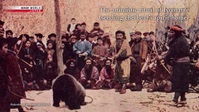 Spiritual Explorers S04E04 Animism XviD-AFG EZTV
