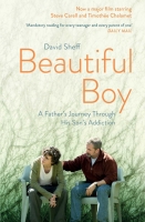 Beautiful Boy 2018 720p 10bit BluRay 6CH x265 HEVC-PSA