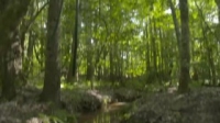 Moonshiners S09E09 WEB x264-TBS [eztv]
