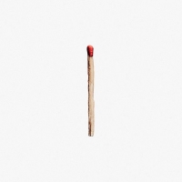 Rammstein - RAMMSTEIN (2019) [FLAC]