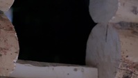 Life Below Zero Next Generation S05E17 XviD-AFG EZTV
