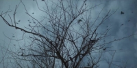 Ghost Stories (2020) [720p] [WEBRip] [YTS] [YIFY]