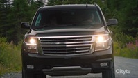 Hudson and Rex S04E06 XviD-AFG EZTV Hudson and Rex S04E06 XviD-AFG EZTV