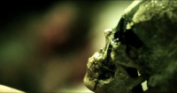 Savaged 2013 BRRip XviD MP3-XVID Savaged 2013 BRRip XviD MP3-XVID