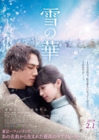 Snow Flower 2019 720p BluRay x264 Ganool
