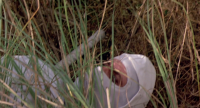 Enter The Ninja 1981 1080p BluRay H264 AAC