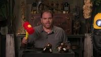 Josh Gates Tonight S05E01 720p WEB h264-BAE EZTV Josh Gates Tonight S05E01 720p WEB h264-BAE EZTV