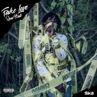 SK8 - Fake Love Real Hate [320 Kbps] [2018][EDM RG]