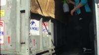 Extreme Animal Transport S01E04 XviD-AFG EZTV Extreme Animal Transport S01E04 XviD-AFG EZTV
