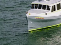 Wicked Tuna S12E07 480p x264-mSD EZTV