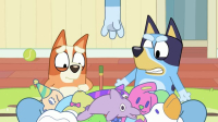 Bluey S01E19 iNTERNAL XviD-AFG EZTV