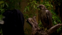 Scorpion S03E05 HDTV x264-LOL[eztv]