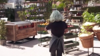 Chopped 420 S01E01 High Expectations XviD-AFG EZTV Chopped 420 S01E01 High Expectations XviD-AFG EZTV