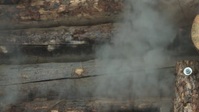 Mountain Men S10E04 720p HEVC x265-MeGusta EZTV Mountain Men S10E04 720p HEVC x265-MeGusta EZTV