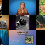 Howie Mandels Animals Doing Things S02E10 720p WEB x264-TBS