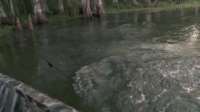 Swamp People S11E04 720p WEB h264-TBS [eztv]